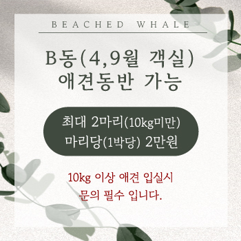 애견